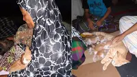 Selamatkan Kucing di Tengah Gempa Palu, Aksi Ibu Ini Dipuji Warganet