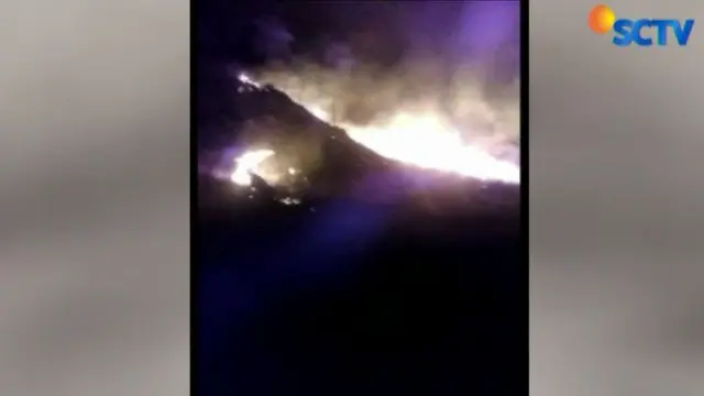Hutan Gunung Guntur Garut Hangus Dilalap Api 