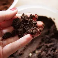 Ampas Kopi. (via: istimewa)