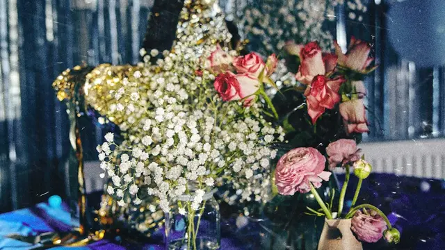 Tema under the stars