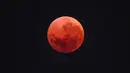 Diperkirakan, lebih dari 6 miliar orang di dunia dapat melihat setidaknya salah satu fase gerhana bulan total ini. Tampak dalam foto, “Blood Moon” terlihat selama gerhana bulan di langit malam di atas Sydney pada 8 September 2025. (DAVID GRAY/AFP)