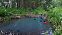 Kedung Biru di Tengah Hutan Pinus, Hidden Gem di Sempu Banyuwangi