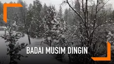 Pemerintah AS memberikan peringatan untuk warga Arizona untuk siap menghadapi badai musim dingin.