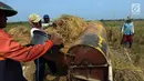 Petani memanen padi jenis Jarong (unggulan) di Kawasan Bekasi-Jakarta, Selasa (2/7/2019). Hasil panen padi kali ini para petani kurang memuaskan akibat cuaca yang tidak menentu dan serangan hama. (merdeka.com/Imam Buhori)