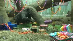 Sepanjang hidupnya Colo memiliki 3 anak, 16 cucu dan 12 cicit.