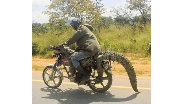 6 Bentuk Jok Motor Ini Tak Biasa, Nyeleneh Banget