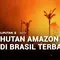 Hutan Amazon di Brasil Terbakar