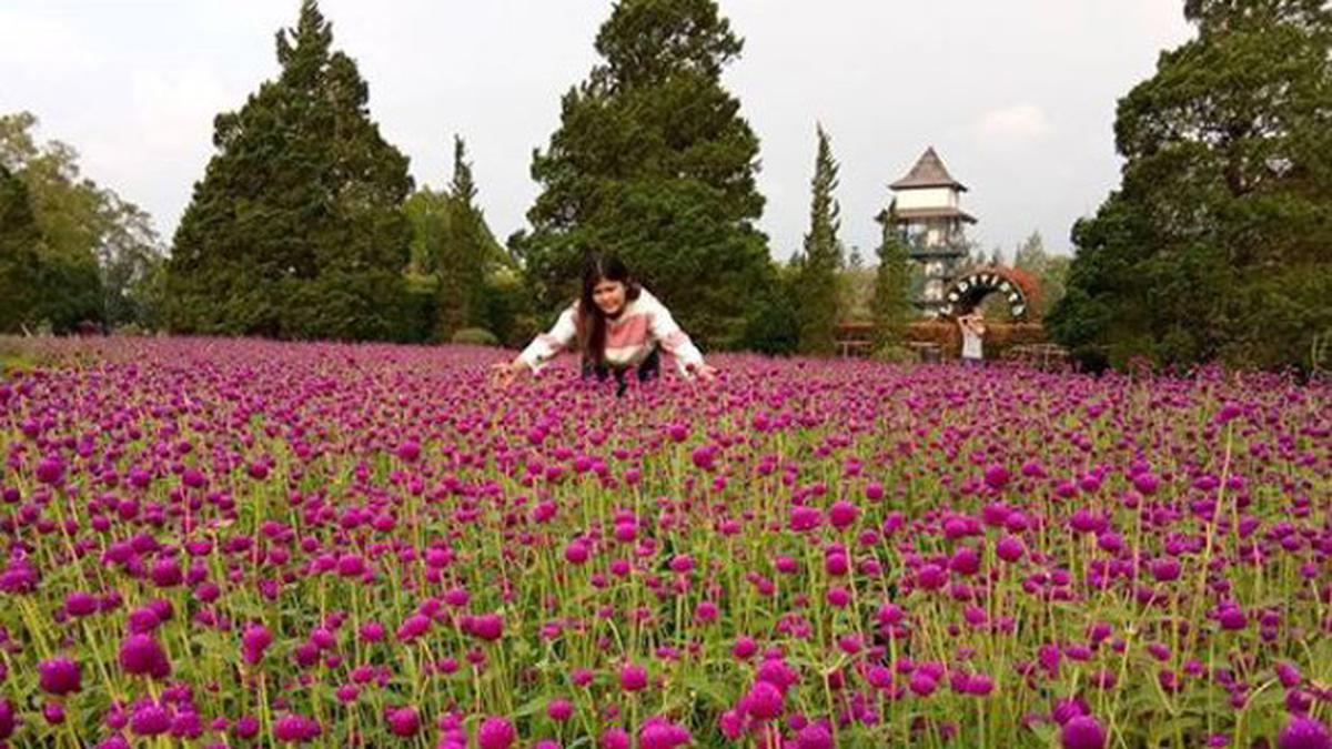 12 Wisata di Bogor Low Budget Terbaru dan Instagramable - Hot Liputan6.com