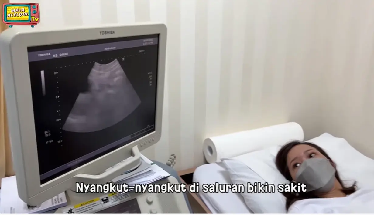 Maia Estianty (Youtube/MAIA ALELDUL TV)