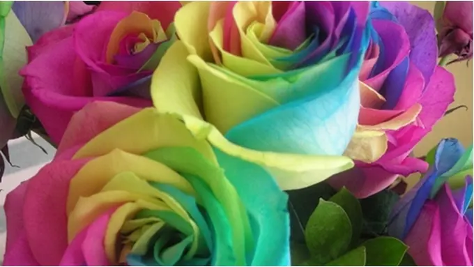 Foto: copyright amazinginteriordesign.com