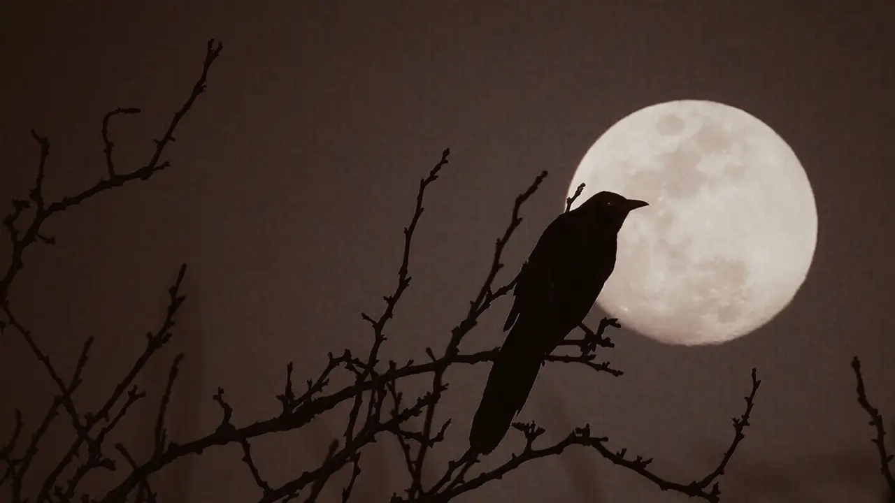 Ilustrasi Bulan.
