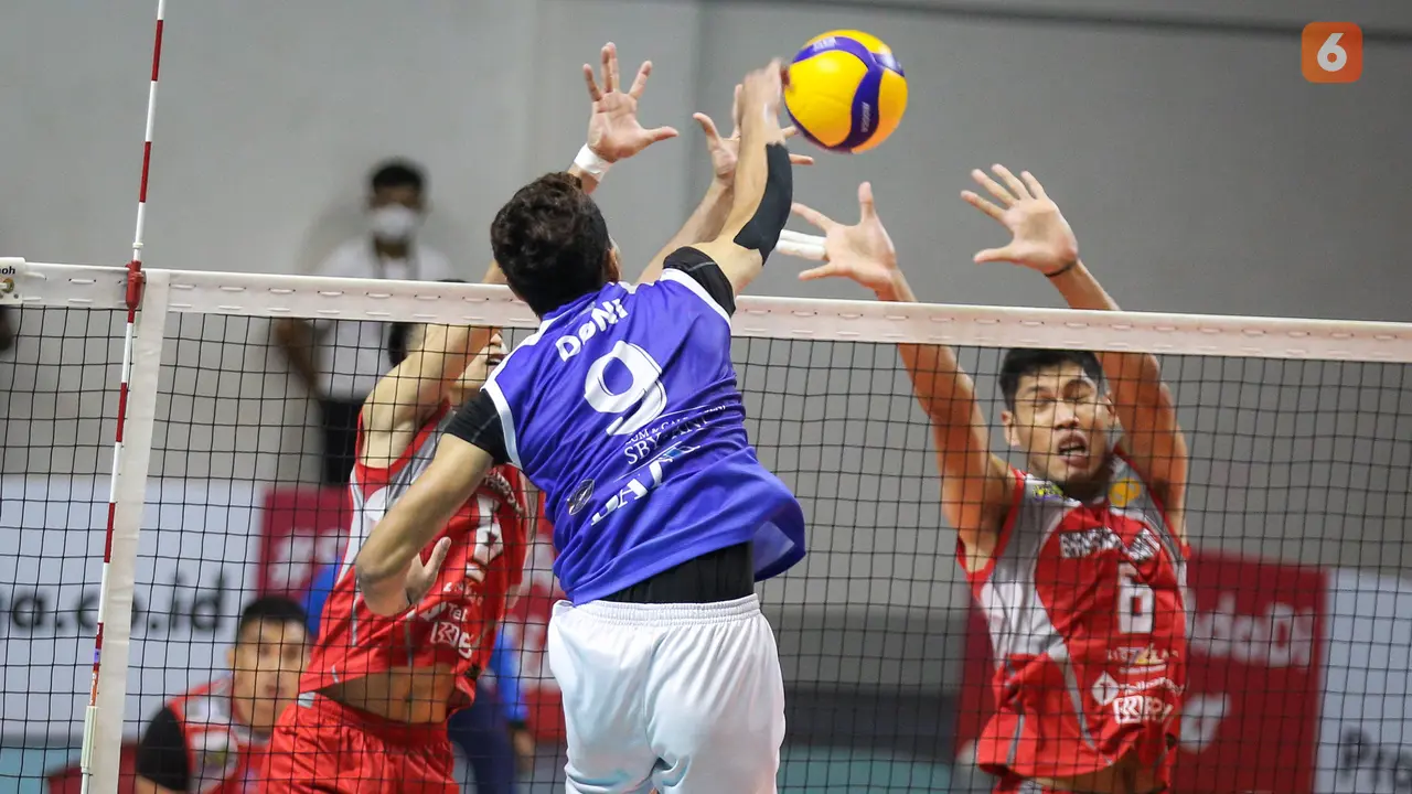 Foto: Didukung Langsung Mantan Presiden Susilo Bambang Yudhoyono sebagai Pemilik, Tim Debutan Bogor LavAni Juara PLN Mobile Proliga 2022
