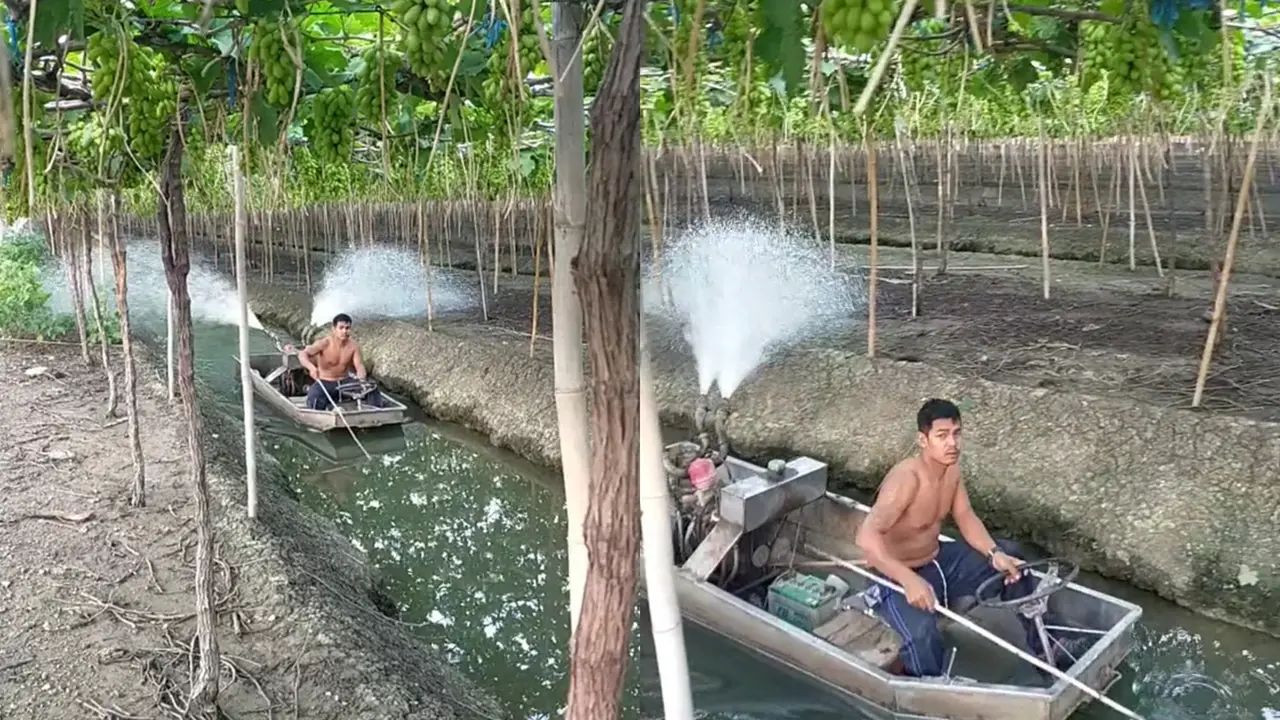 Petani modifikasi mesin perahu untuk menyiram tanaman