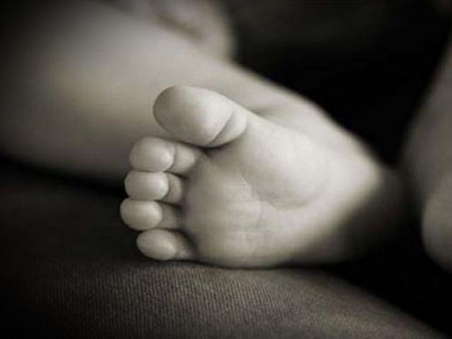 Bayi Baru Dilahirkan Tewas Terlindas Mobil Di Bali Jasadnya Dikerubuti Anjing Regional Liputan6 Com