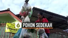 pohon thumbnail