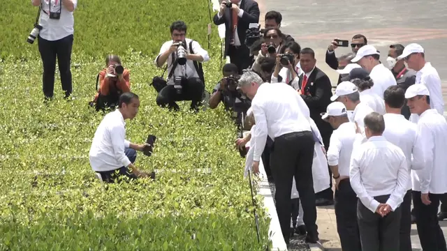 Presiden Joko Widodo (Jokowi) bersama Delegasi Konferensi Tingkat Tinggi G20 (KTT G20) mengunjungi Taman Hutan Raya Mangrove
