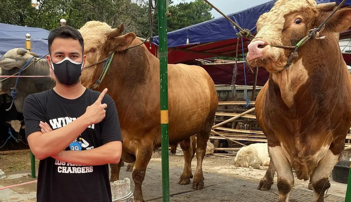 Raffi Ahmad menyiapkan 10 sapi dan 10 kambing untuk hewan kurban tahun ini. Ia mengaku telah menabung guna membeli hewan qurban. (Instagram/raffinagita1717)