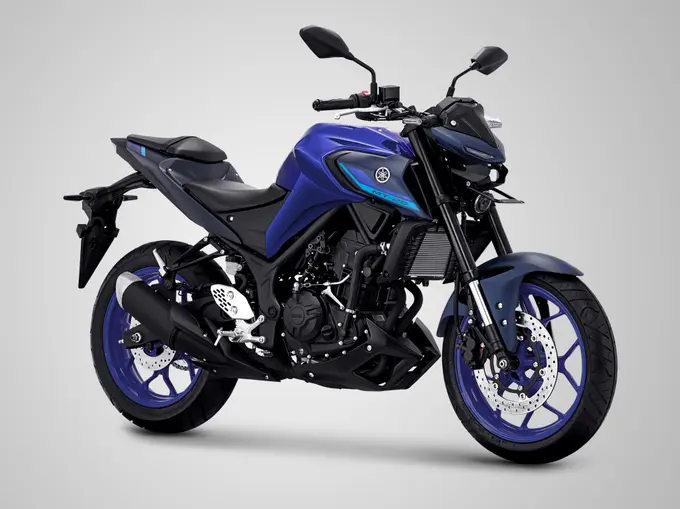 Mt cheap yamaha 250