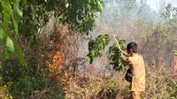 Petugas memadamkan kebakaran yang terjadi di forest city Pemprov Kalsel di Banjarbaru, Senin (21/8/2023). (Liputan6.com/ist)
