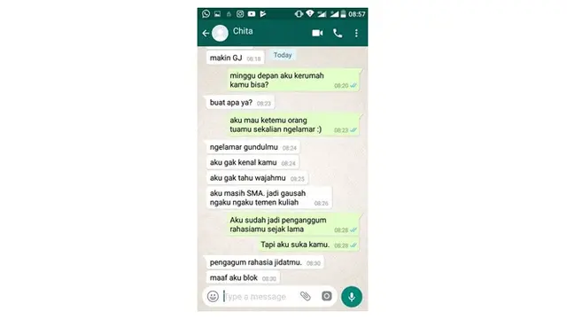 Chat Kocak saat Mencoba Melamar Ini bikin Ketawa Ngakak