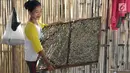 Pekerja memindahkan cicak di rumah industri kawasan Cirebon, Jawa Barat, Selasa (2/4). Cicak kering ini dipercaya mampu mengobati sesak napas dan alergi. (Liputan6.com/Herman Zakharia)