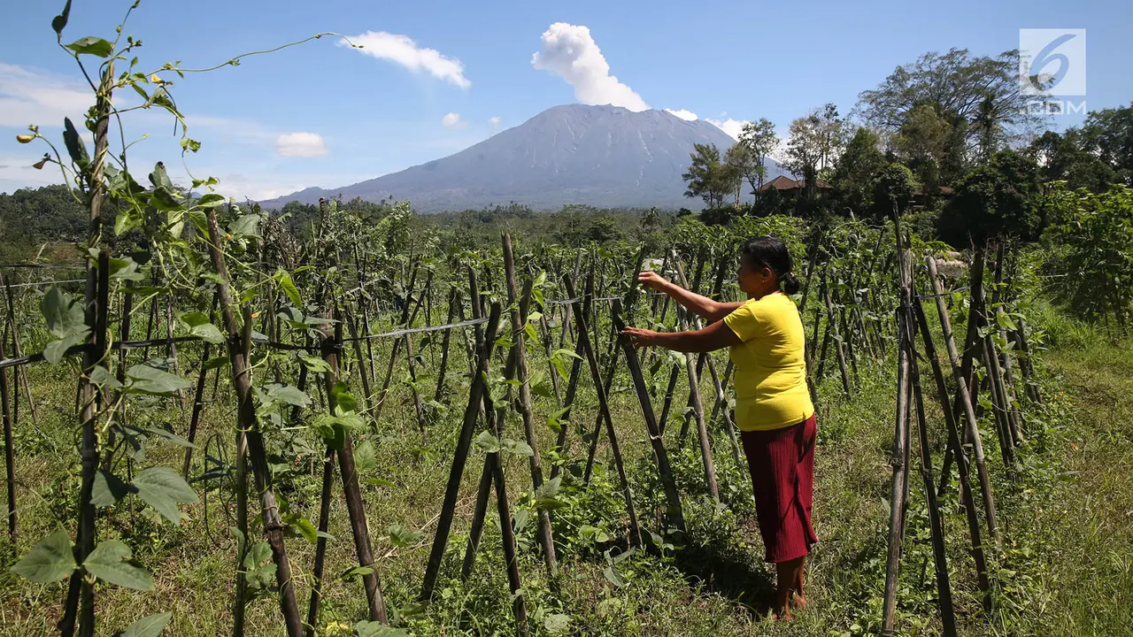 Gunung Agung Semburkan Asap Setinggi 2.100 Meter