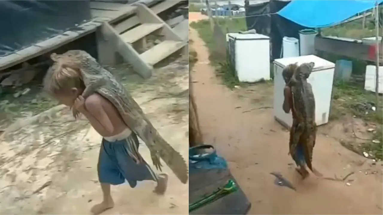 Viral Video Aksi Bocah Gendong Buaya Tanpa Rasa Takut Ini Bikin Geleng Kepala
