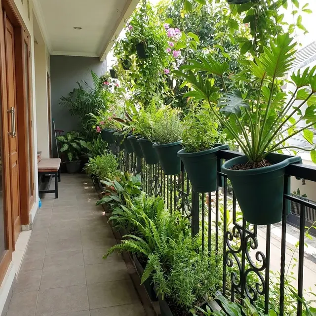 Teras Rumah Sempit Jadi Kebun Hijau