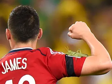 James Rodriguez dihinggapi oleh seekor belalang, The Castelao Stadium, Fortaleza (4/7/2014) (AFP PHOTO/FABRICE COFFRINI)