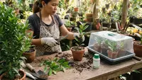 8 Cara Menanam Daun Salam dengan Stek, Begini Caranya Supaya Tumbuh Baik