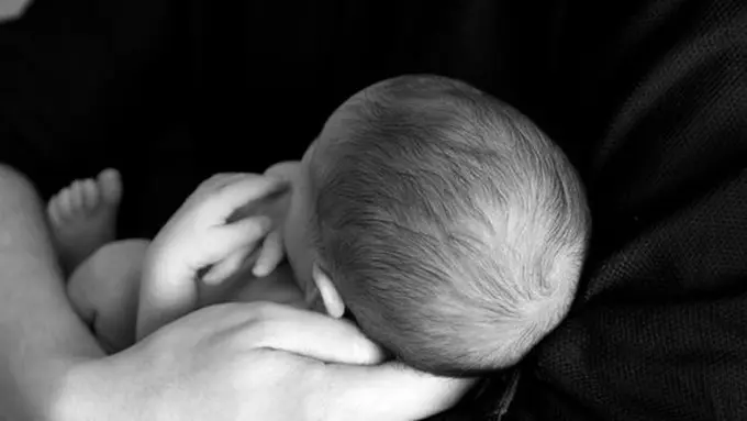 Ilustrasi./Copyright pexels.com