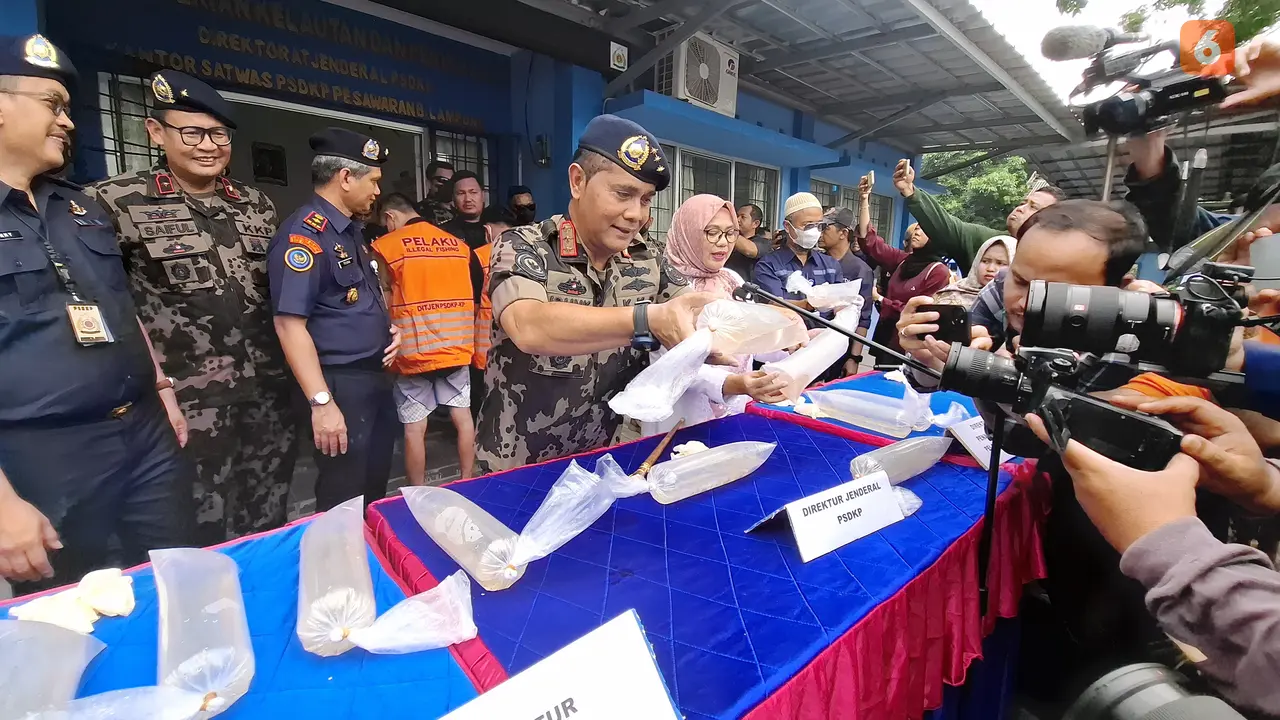 Dirjen PSDKP, Pung Nugroho Saksono, jumpa pers di Satwas PSDKP Pesawaran, Lampung soal pengungkapan penyelundupan BBL 52.200 ekor. Foto : (Liputan6.com/Ardi).