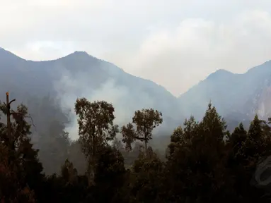 Kepulan asap putih sisa kebakaran masih terlihat di Pos Paltuding, Gunung Ijen, Jawa Timur (18/10/2014). (Liputan6.com/Helmi Fithriansyah)