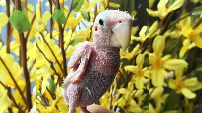 Photo: Copyright asiantown.net