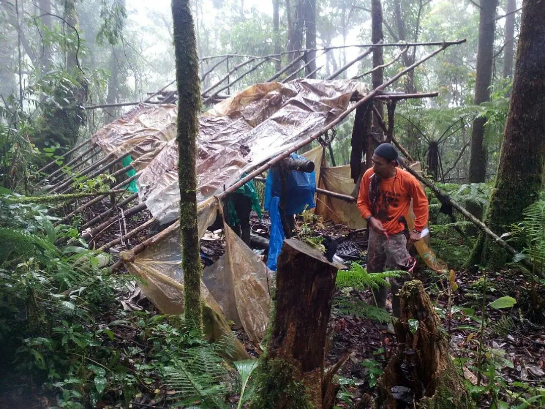 Pencari cacing sonari di kawasan Gunung Gede Pangrango biasanya berkelompok. (dok. Taman Nasional Gunung Gede Pangrango)