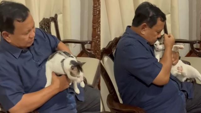 Intip Momen Prabowo Subianto Main dengan Kucing Kesayangan: Bobby Gemoy!
