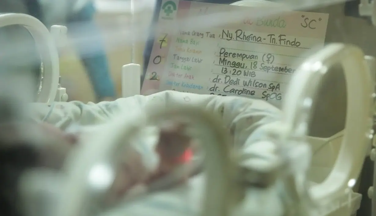 Anak keempat pasangan Rheina Ipeh dan Findo Purwono HW lahir melalui proses caesar. Lahir dengan berat 2,67 kg dan panjang 47 cm. Bayi mungil itu melewati proses caesar pukul 13.20 WIB. (Bambang E. Ros/Bintang.com)