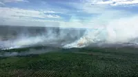 Kebakaran Hutan Riau Mengganas, Satgas Karhutla Rekayasa Cuaca