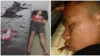 6 Momen Apes Diganggu Hewan ketika Tidur Bikin Elus Dada, Jadi Enggak Nyenyak