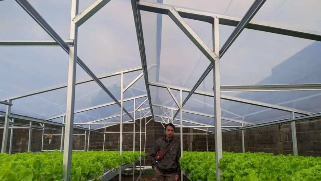 Go Fear di tengah tanaman hidroponik miliknya di Desa Genting Damarjati Kecamatan Sukorejo Kabupaten Kendal, Selasa, 29/6/2021. (Foto: Liputan6.com/Kusfitria Marstyasih)
