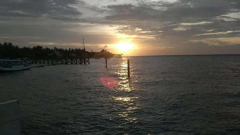 Ikan dory di pantai bira