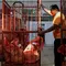 Pos Indonesia Gagal Bayar Imbal Jasa Sukuk, Ini Penyebabnya