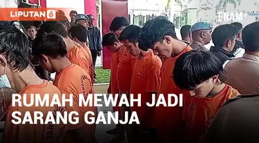 Tanam Ganja, Rumah Mewah di Bandung Digerebek