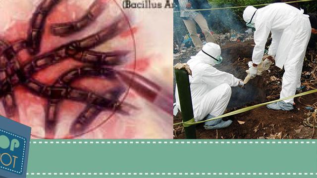 Senjata mematikan dapat berupa apa saja, salah satunya adalah senjata biologis. Baru-baru ini, badan kesehatan dunia menginstruksikan kepada negara-negara di dunia agar berhati-hati pada penyebaran virus yang dimaksudkan sebagai senjata biologis.