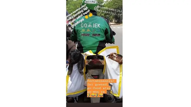 6 Momen Ojol Bawa Hewan Kurban Ini Bikin Geleng Kepala