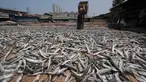Pekerja saat menjemur ikan asin di Muara Angke, Jakarta, (4/12). Hal tersebut di sebabkan karena pasokan bahan baku mulai turun setelah Kementerian Kelautan dan Perikanan mengeluarkan sejumlah peraturan baru. Liputan6.com/Angga Yuniar