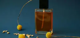 Aroma citrus musk dikenal memiliki karakter segar sekaligus lembut yang sering dikaitkan dengan kepribadian optimis dan hangat. [Dok/Pexels.com/Daria Liudnaya].