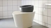 Toilet Masa Depan, Kembali Lagi Jongkok