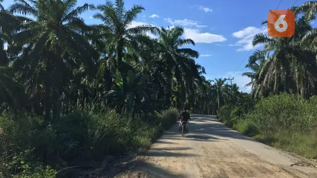 Kelapa Sawit