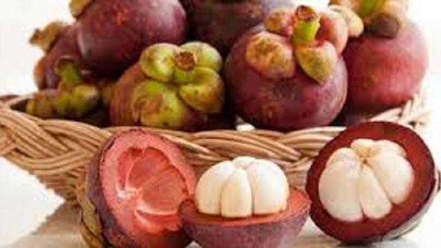 [Bintang] Buah manggis